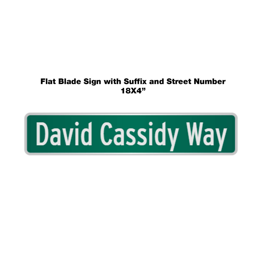 David Cassidy Way - 18"x4" Miniature Sign
