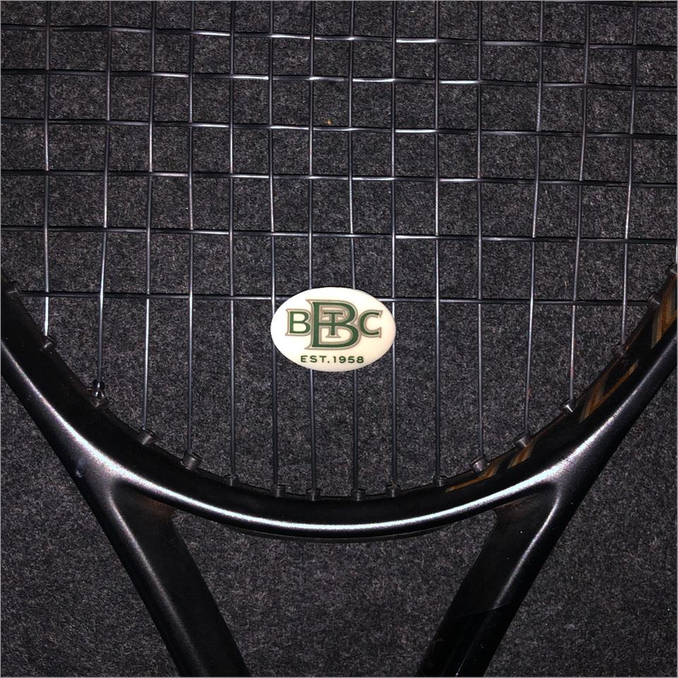 BBTC Dampener Shock Absorber 2 Pack