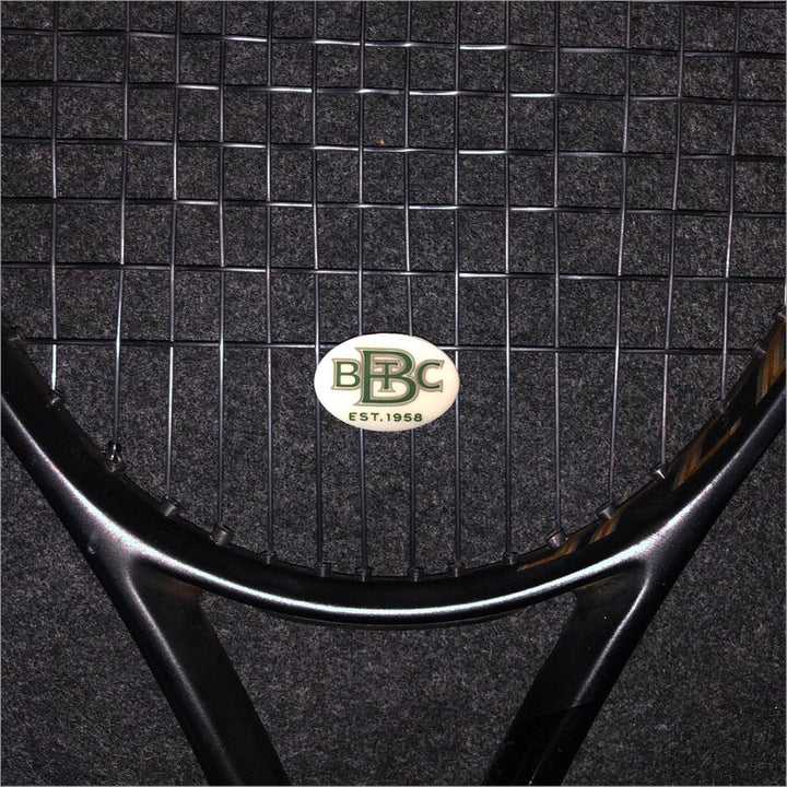 BBTC Dampener Shock Absorber 2 Pack
